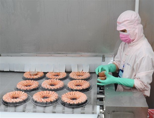 Lam sao de Viet Nam tro thanh trung tam che bien thuy san hang dau? hinh anh 2