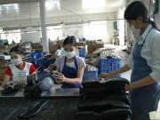 Đầu tư nguyên phụ liệu da giày: Tồn tại nhiều bất cập
