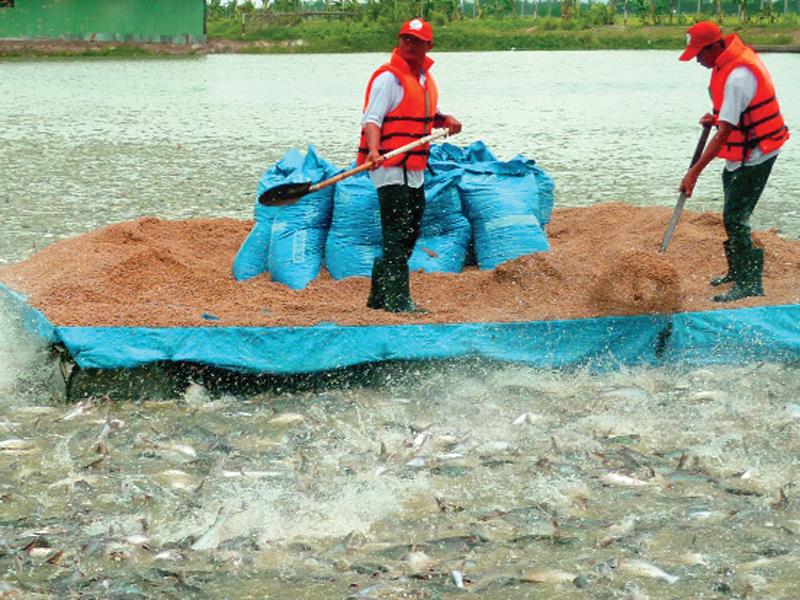 PAN chuyển mình thực sự sang lĩnh vực nông nghiệp và thực phẩm