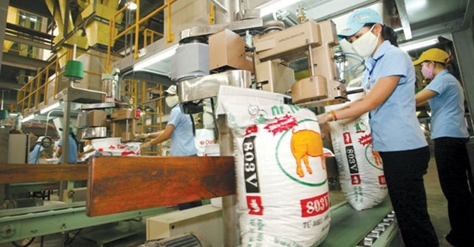 Chi gần 2 tỷ USD nhập thức ăn chăn nuôi trong 8 tháng qua (ảnh minh họa).