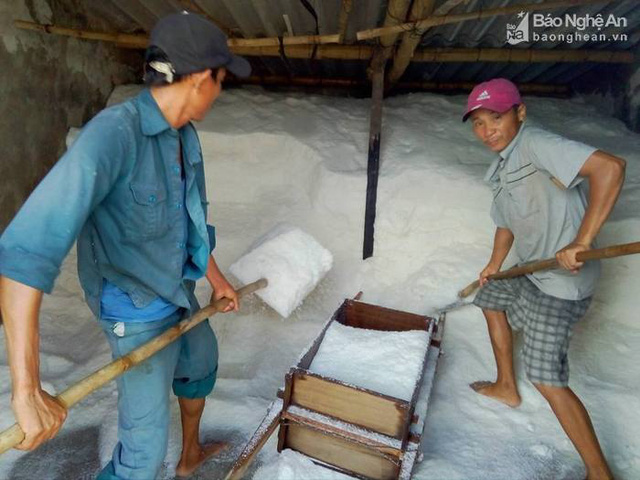 Muối tiêu thụ mạnh, các cửu vạn bốc muối phải làm việc hết công suất. Ảnh Như Thủy