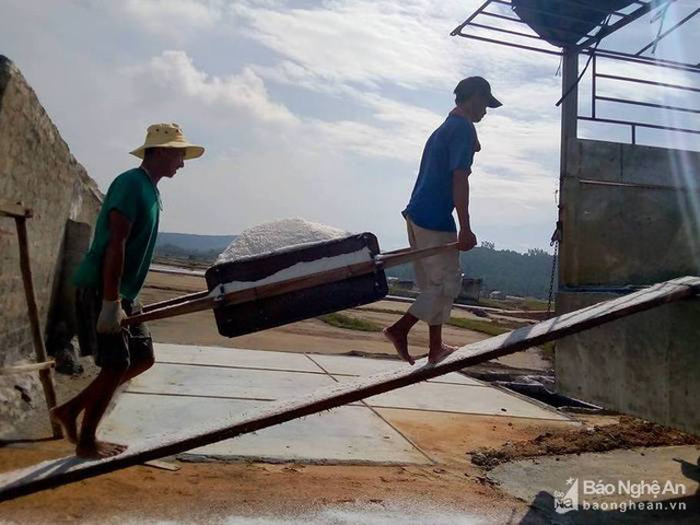 Khẩn trương vận chuyển muối lên xe tiêu thụ. Ảnh: Như Thủy