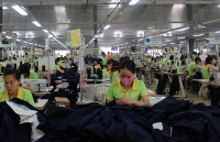 Quyết liệt xử lý nợ bảo hiểm