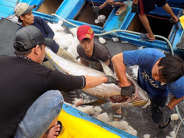 the vang iuu lam giam tang truong xuat khau hai san