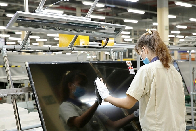 xuat khau tp ho chi minh dinh vi san pham tieu bieu