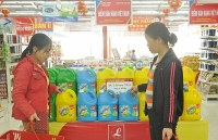 Hàng Việt về khu công nghiệp, khu chế xuất: Kỳ II- Nỗ lực để