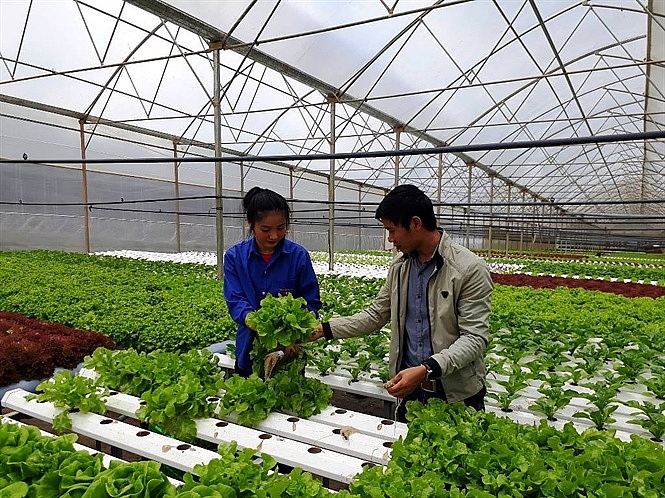 xuc tien thuong mai va dau tu tai lam dong nhieu khoi sac