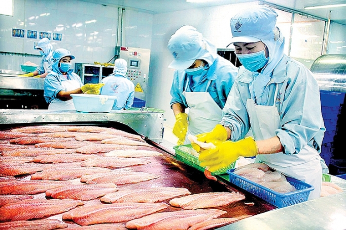 xuat khau nong thuy san sang trung quoc tim giai phap ben vung