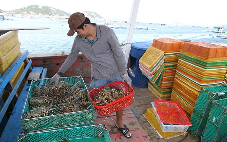 undefined 3340-tom-hum-rot-gia-chua-tung-co-1-1599436332182