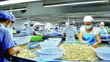 Cẩn trọng trước lừa đảo thương mại