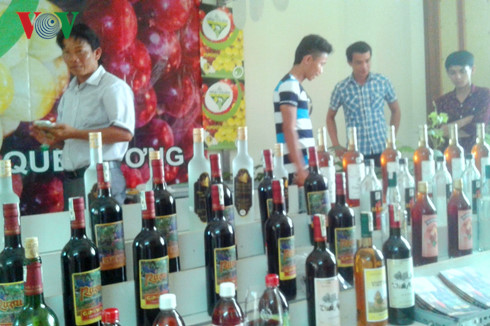 Sản xuất rượu vang nho của tỉnh Ninh Thuận đang ở quy mô nhỏ, đầu tư công nghệ còn hạn chế