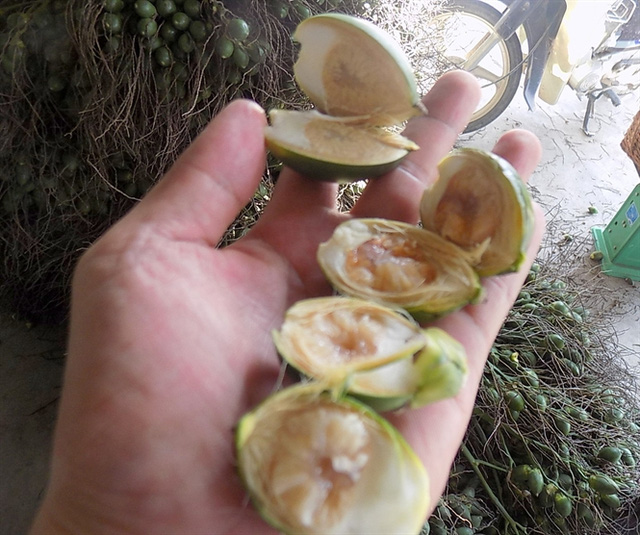 Tiêu chuẩn là cau non, cắn ra còn nước