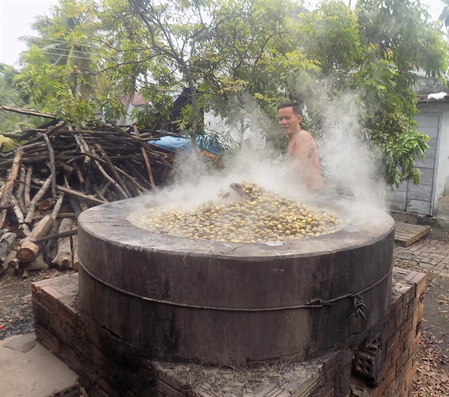 Cau đưa vào luộc 1-2 tiếng trước khi đưa đi sấy khô