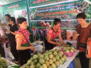 Nông sản an toàn Sơn La tại Hà Nội: Cam kết tiêu thụ