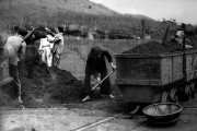 Tầm cao thợ mỏ và chiều sâu nguồn than - Phần III: Khi thợ mỏ thực sự làm chủ vùng than