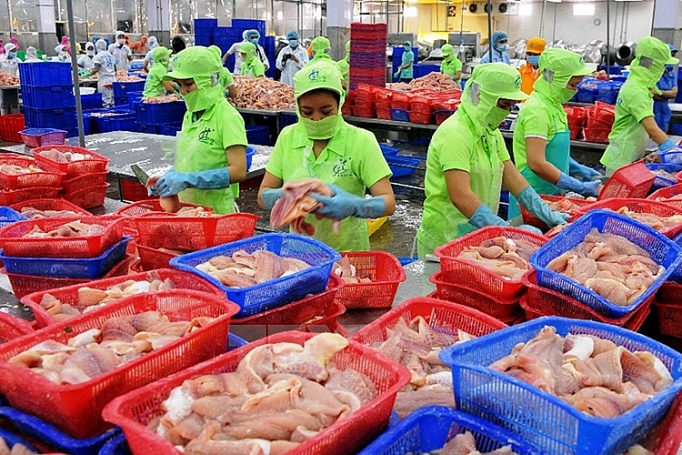 an giang xuat khau but pha an tuong