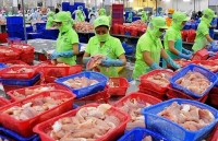 An Giang: Xuất khẩu bứt phá ấn tượng