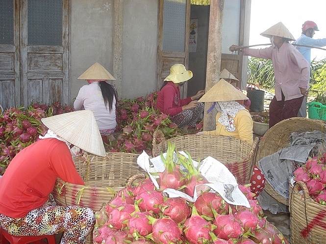Giãn tiến độ vận chuyển, giao hàng tại cửa khẩu Tân Thanh và Kim Thành gian tien do van chuyen giao hang tai cua khau tan thanh va kim thanh