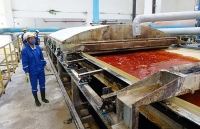 Quy hoạch thăm dò, khai thác và chế biến bô-xít: Khuyến khích đầu tư trong nước