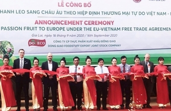 Xuất khẩu 9 tháng đầu năm: Điểm sáng khu vực kinh tế trong nước