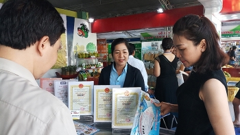 Hình thành mạng lưới thương mại bền vững