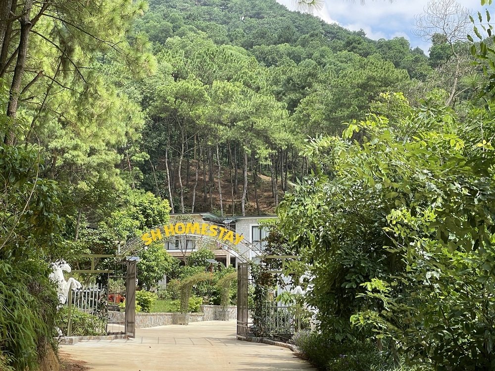 soc son ha noi hang loat homestay co dau hieu vi pham trat tu xay dung tai xa minh phu