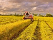 “Kéo” doanh nghiệp đến với nông nghiệp - Cách nào?