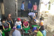 Nghệ An: Tập trung tiêu thụ hải sản “đóng băng”