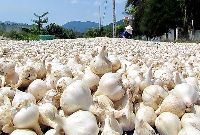 bat luc bao ve thuong hieu toi ly son