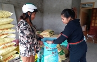 Thức ăn chăn nuôi: Khó tiêu thụ