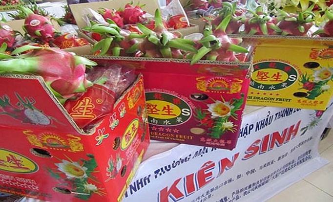 Xuất khẩu nông sản, trái cây qua cửa khẩu Tân Thanh: Nắm bắt tình hình, giảm thiểu thiệt hại xuat khau nong san trai cay qua cua khau tan thanh nam bat tinh hinh giam thieu thiet hai