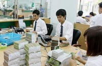 Điều kiện thành lập chi nhánh của tổ chức tài chính vi mô