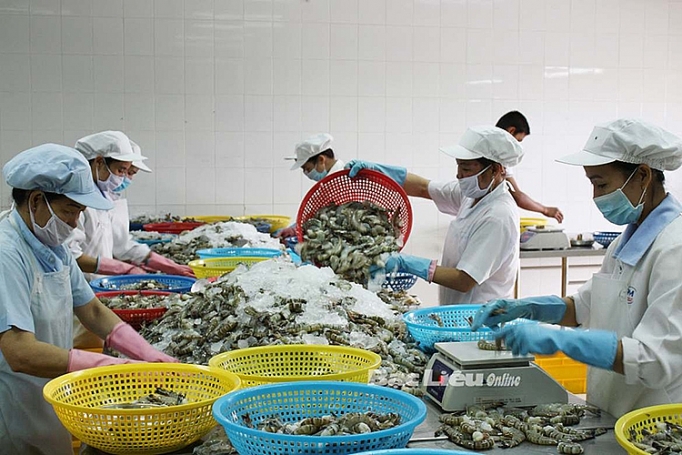 Ứng phó hàng rào phi thuế quan: Phải nắm vững thông tin ung pho hang rao phi thue quan phai nam vung thong tin