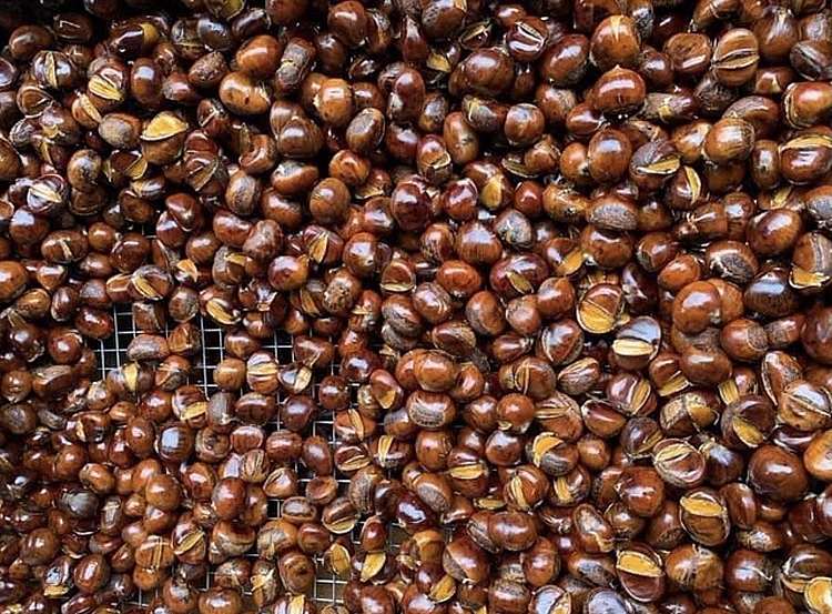 undefined 4713-img-1691-1604624029928