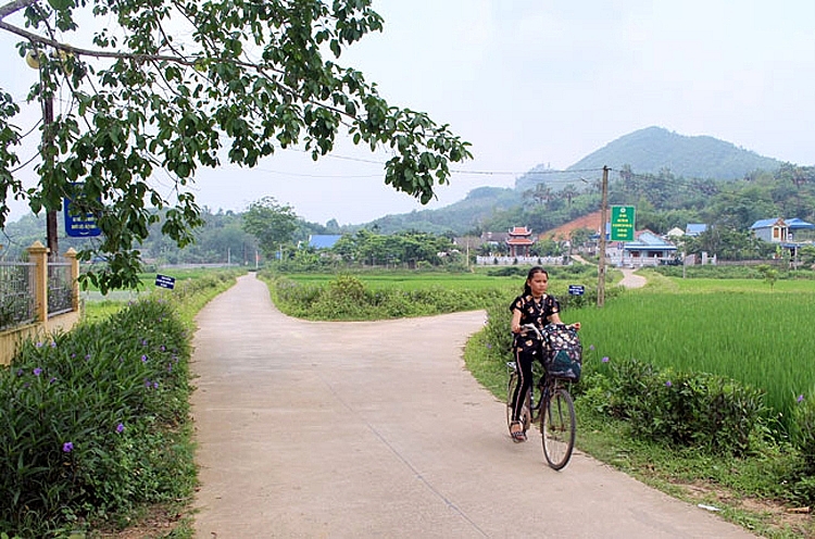 4647-huyyn-yynh-hoa-tynh-thai-nguyen-yang-tyng-byyc-cyng-cy-va-hoan-thiyn-tieu-chi-moi-tryyng-trong-xay-dyng-nong-thon-myi-ntm-tyi-nhiyu-xa