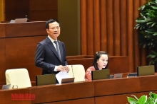 Bộ trưởng Thông tin và Truyền thông: Nền tảng số là giải pháp đột phá xây dựng chuyển đổi số quốc gia