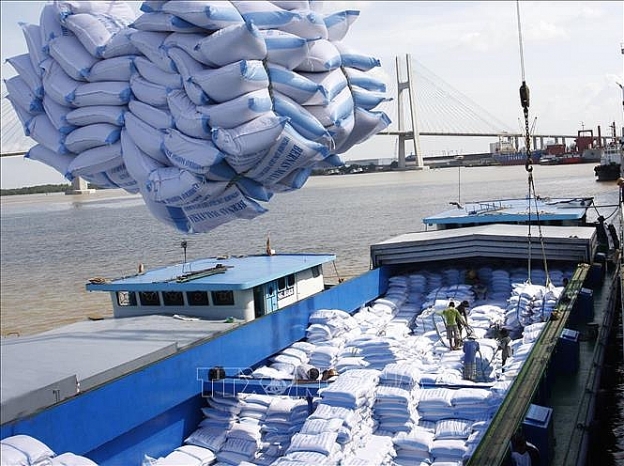 Xuất khẩu gạo sang Anh có nhiều triển vọng Xuất khẩu gạo sang Anh có nhiều triển vọng