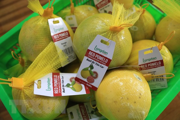 Xuat chuyen hang buoi do Tan Lac dau tien sang thi truong Anh hinh anh 2