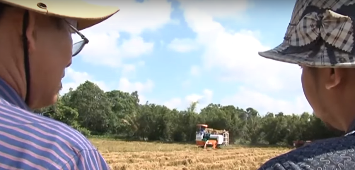 Theo tính toán của nhà sáng chế, nếu nông dân biết nhu cầu thị trường cần thì mỗi năm rơm xuất ngoại có thể thu được cả trăm triệu đô la mỗi năm