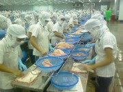 Rào cản lớn đối với cá da trơn Việt Nam