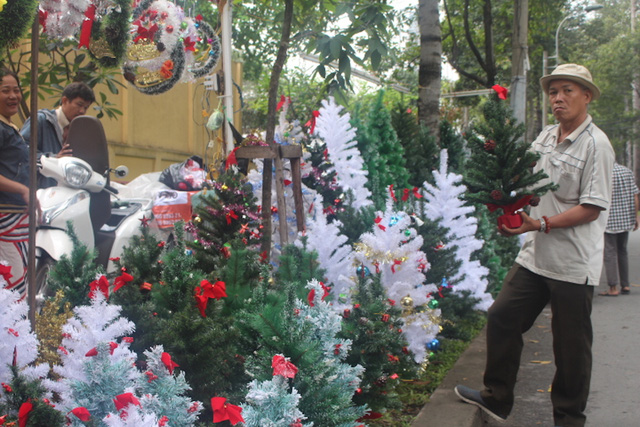 Thông Noel được bày bán tại nhiều tuyến đường