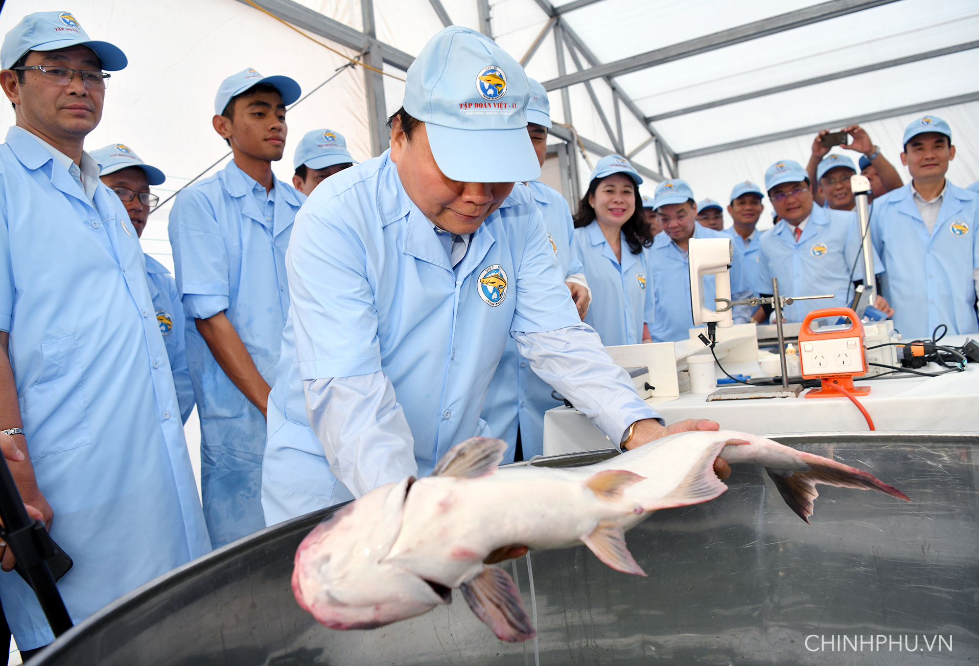 thu tuong du khanh thanh khu san xuat ca tra giong tren song tien