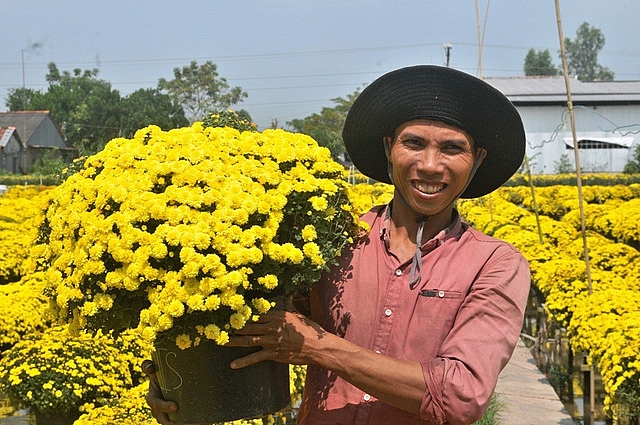 tet ky hoi hoa tet nhieu gia tang khoang 10
