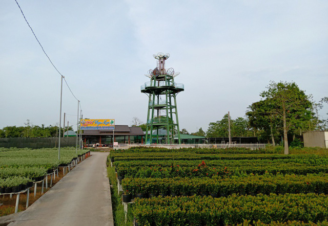 tet ky hoi hoa tet nhieu gia tang khoang 10