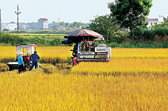 tang truong trong nong nghiep nhanh nhung chua chac