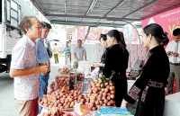 Thị trường trong nước năm 2018: Công tác điều hành hiệu quả, linh hoạt