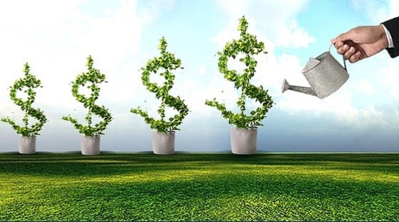 dau tu chung khoan gieo nhung hat giong tot