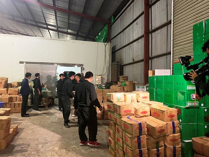 Buôn lậu thuốc tân dược và dược liệu: Báo động đỏ buon lau thuoc tan duoc va duoc lieu bao dong do