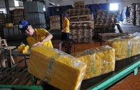 Thị trường Chiết Giang (Trung Quốc): Hấp dẫn nhờ nhu cầu 1,1 triệu tấn cao su/năm