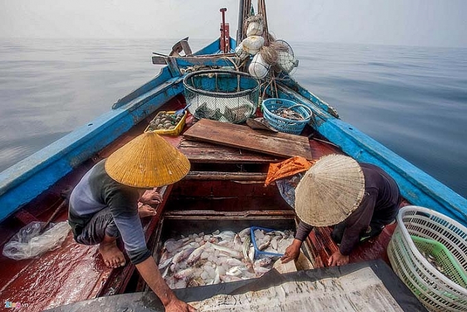 Khắc phục “thẻ vàng” IUU: Mấu chốt là chống khai thác trái phép khac phuc the vang iuu mau chot la chong khai thac trai phep